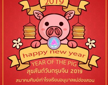 Happy Chinese new year 2019